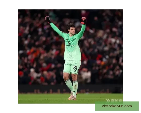 英超守门员榜：本赛季表现稳健，扑救成功率与零封场次成关键指标